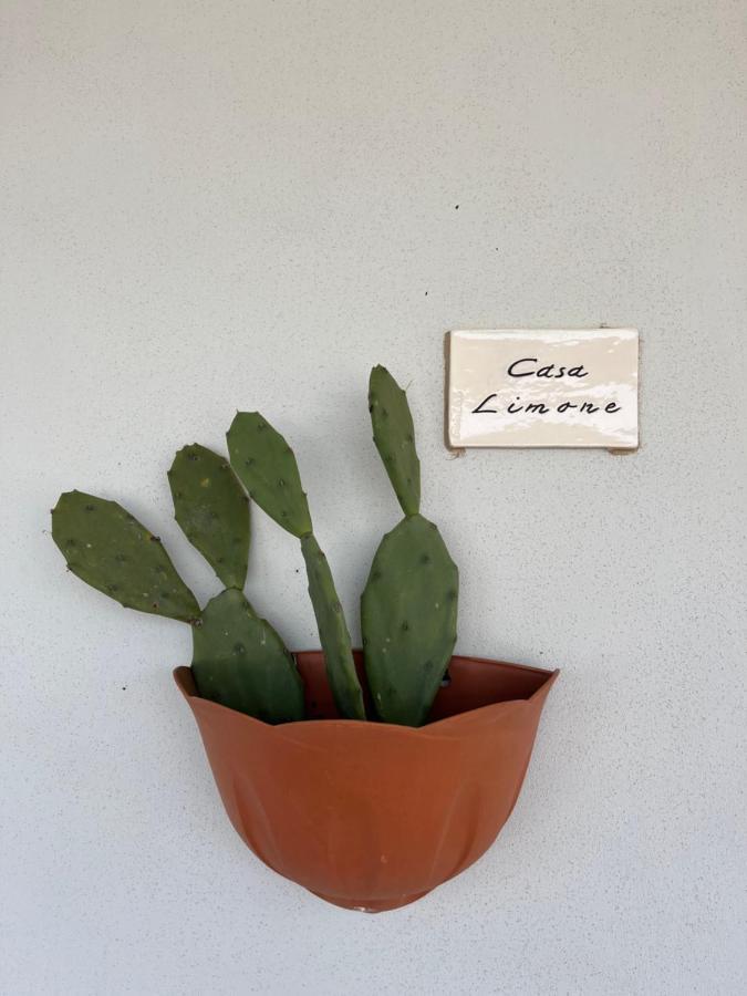 Borgo Tortorella By Il Pumo Di Puglia مونوبولي المظهر الخارجي الصورة